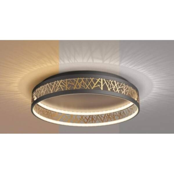 LED PLAFONJERA LP2355 48W FI500MM