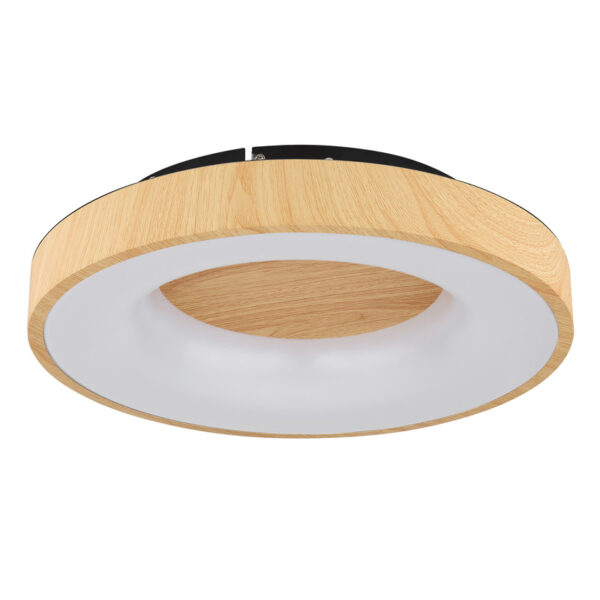 JOLLI 41758-30 LED PLAFONSKA LAMPA GLOBO LIGHTING - Image 2