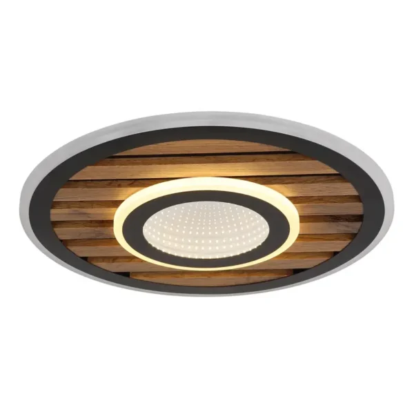 WOODY 67345D4 LED PLAFONSKA LAMPA GLOBO LIGHTING - Image 5