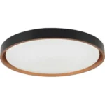 M205521-A 45W LED SMD CCT 3000~6500K FI500mm PLAFONJERA SA DALJINSKIM MITEA LIGHTING - Slika 2