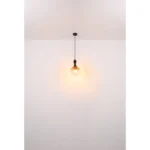 ALADDIN VISILICA 15538H2 GLOBO LIGHTING - Slika 7