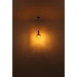ALADDIN VISILICA 15538H GLOBO LIGHTING - Slika 5