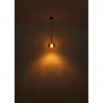 GEEKY VISILICA 15542 GLOBO LIGHTING - Slika 5