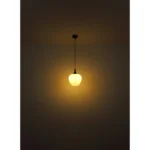 MAXY 15548-6HC VISILICA GLOBO LIGHTING - Slika 6