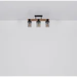 LILA PLAFONSKA LAMPA 15555-3D GLOBO LIGHTING - Slika 9