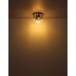 RYAN 15629N-9D VISLICA GLOBO LIGHTING - Slika 4