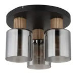 ALEIDIS 15768-3D PLAFONSKA LAMPA GLOBO LIGHTING - Slika 3