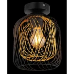 DICHTI 15965DS PLAFONSKA LAMPA GLOBO LIGHTING - Slika 2