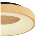 JOLLI 41758-30 LED PLAFONSKA LAMPA GLOBO LIGHTING - Slika 4