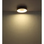 JOLLI 41758-30 LED PLAFONSKA LAMPA GLOBO LIGHTING - Slika 9
