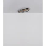 JAYDEN 48038-40 LED PLAFONSKA LAMPA GLOBO LIGHTING - Slika 8
