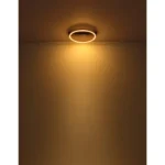 LUFFY 48461-21R LED PLAFONSKA LAMPA GLOBO LIGHTING - Slika 8