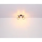 PRISKA 54017-2M SPOT LAMPA GLOBO LIGHTING - Slika 10