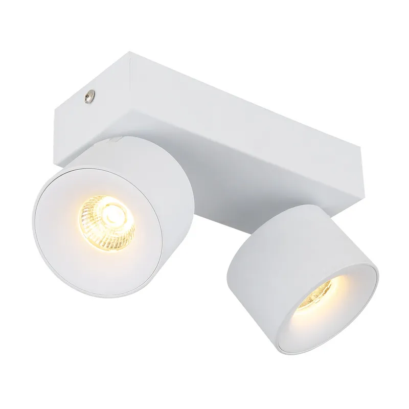 56961-2W_a RAE 56961-2W LED SPOT LAMPA GLOBO LIGHTING - Slika 1