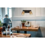 WENZEL 57037-2 SPOT LAMPA GLOBO LIGHTING - Slika 2