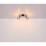 GLYPTAR 57904-2 SPOT LAMPA GLOBO LIGHTING - Slika 7
