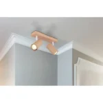 ROBBY 57911-2P SPOT LAMPA GLOBO LIGHTING - Slika 2