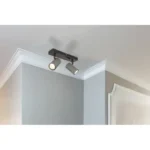 ROBBY 57911-2S SPOT LAMPA GLOBO LIGHTING - Slika 2