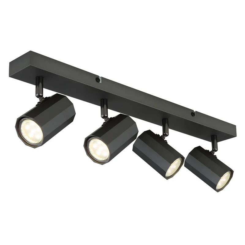 57918-4_a-1 JAMES 57918-4 SPOT LAMPA GLOBO LIGHTING - Slika 1
