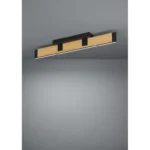 CAMINARRO LED PLAFONJERA 390224 EGLO - Slika 2