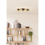BAILRIGG PLAFONSKA LAMPA 43901 EGLO - Slika 6