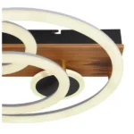 DARRYL 67265-55 PLAFONSKA LAMPA GLOBO LIGHTING - Slika 6