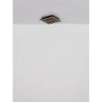 WOODY 67345D1 LED PLAFONSKA LAMPA GLOBO LIGHTING - Slika 9