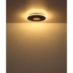 WOODY 67345D4 LED PLAFONSKA LAMPA GLOBO LIGHTING - Slika 7