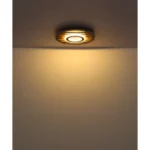 WOODY 67345D4 LED PLAFONSKA LAMPA GLOBO LIGHTING - Slika 8