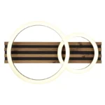 TISHA LED PLAFONSKA LAMPA 67353D2 GLOBO LIGHTING - Slika 4