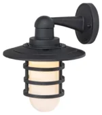 SPOLJNA ZIDNA LAMPA DARRINGTON 7677 RABALUX - Slika 2