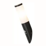 SPOLJNA ZIDNA LAMPA BLACK TORCH 8146 RABALUX - Slika 2
