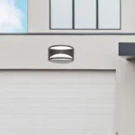 SPOLJNA ZIDNA LAMPA MANHATTAN 8510 RABALUX - Slika 2