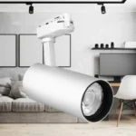 BELI SINSKI REFLEKTOR MONOFAZNI 30W 3000K BD30-01600 BRAYTRON - Slika 2