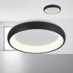 BRY-BELLA-MLS-SR-OKRUGLA-CRNA-36W-3U1-IP20-LED PLAFONJERA BH17-02381 BRAYTRON