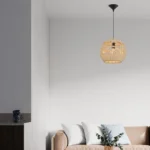 VISILICA BRY-D003R-1H-1xE27-RTN-DEKORATIVNA VISILICA BV02-00030 BRAYTRON - Slika 2