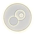 LED PLAFONSKA LAMPA RUIZ I 48470 GLOBO LIGHTING - Slika 2