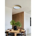 LED PLAFONJERA SVETLO DRVO 24W CCT 3000k~6500k 6520 - Slika 2