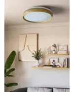 LED PLAFONJERA SVETLO DRVO 36W CCT 3000k~6500k 6521 - Slika 2