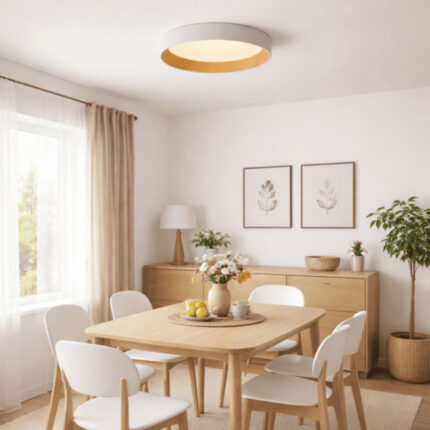 VESTA 684 PLAFONSKA SVETILJKA 40W 3000 4000K BELA HOME LIGHT prostor