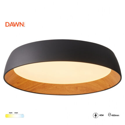 VESTA 684 PLAFONSKA SVETILJKA 40W CRNA 3000 4000K HOME LIGHT