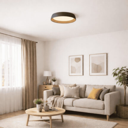 VESTA 684 PLAFONSKA SVETILJKA 40W CRNA 3000 4000K HOME LIGHT a