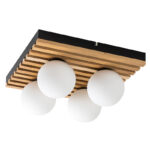 Noxelle plafonska lampa 71462 Rabalux a
