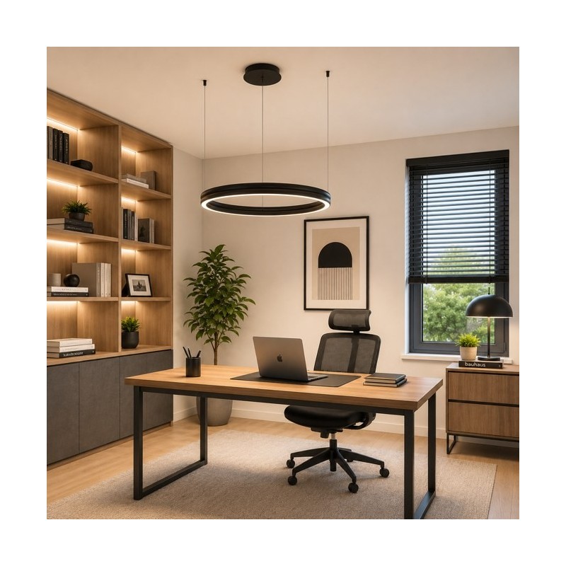 LED LUSTER 250138PY-BK 55W 3000K HOME LIGHT Prostor