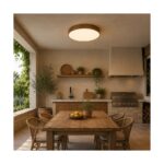 SOLEA 87 LED PLAFONJERA DRVO 40W CCT DIMABILNA Prostor